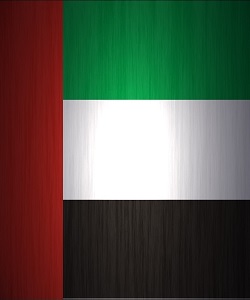 Dubai-Flag
